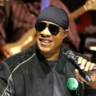 Stevie Wonder